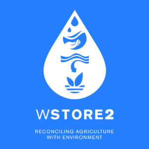 logo_WSTORE2